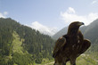 adler