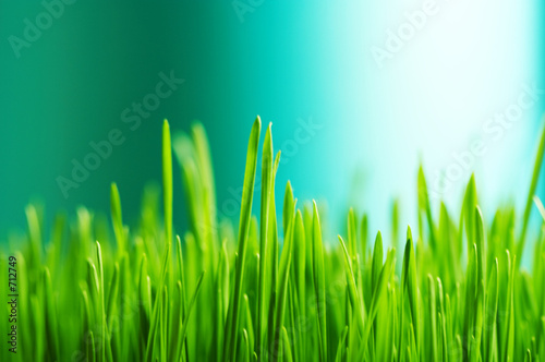 Photo: fresh grain fresh grain