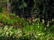 madère jardins