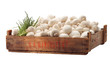 crate of fresh white mushroom crate of fresh white mushroom