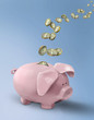 piggy bank