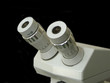 miscroscope eyepieces