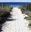 sandy path to the beach