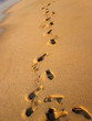 footprint footprint