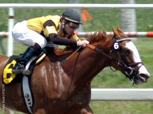 Photo: race horse & jockey race horse & jockey