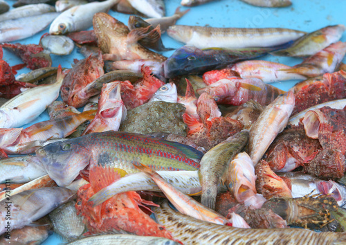 etal du pêcheur