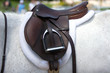 saddle