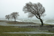 storm