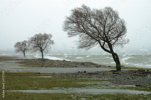 storm