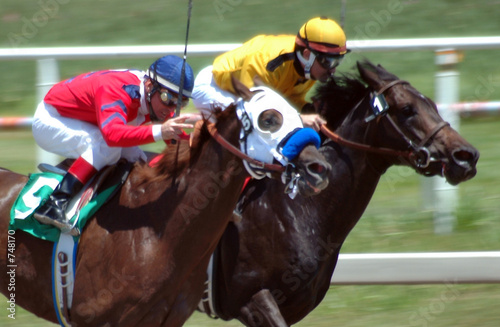 Photo: race horses race horses