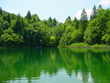 see im wald