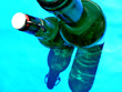 bottle