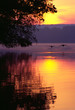 canada geese landing on lake at sunrise