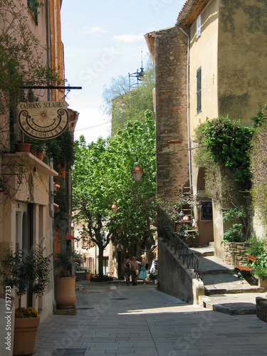 bormes les mimosas