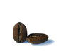 grains of coffee on a white background