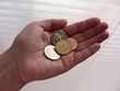handvoll geld (1)