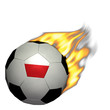 World Cup Soccer/football - Po...