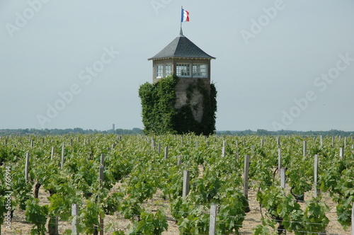 un vignoble bien français - france un vignoble bien français - france
