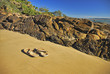 Photo: thongs thongs