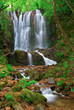 waterfall in the woods of kolesino village,  maced