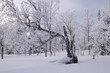cold winter day
