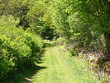old country road