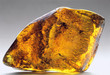 amber inkluzja-7