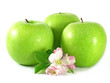 green apple