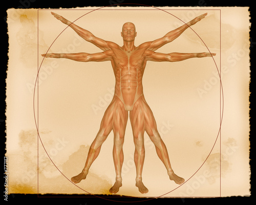 illustration - muscle man