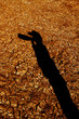 dry river bed