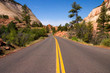 road thru zion