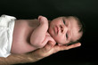 handful of baby handful of baby