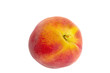 peche 005