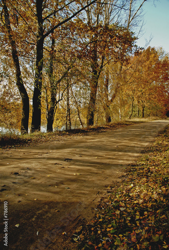 autumn in poland autumn in poland