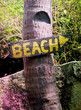 beach beach