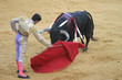 bullfighting in seville, spain. bullfighting in seville, spain.
