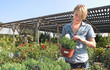 buying plants