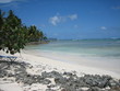 plage déserte palmiers