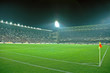crowded stadium