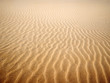 sable