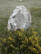 carnac 006