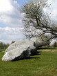 carnac 007