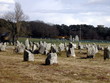 carnac 001