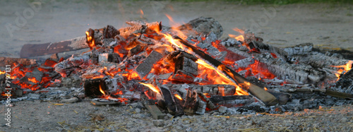 feu de bois 2