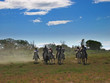 horse chase