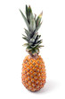 pineapple isolated