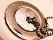 chrome plug