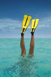 Image : snorkeling