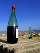 botella