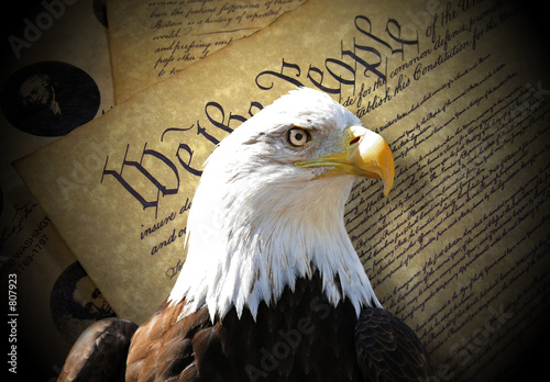Photo: eagle eagle